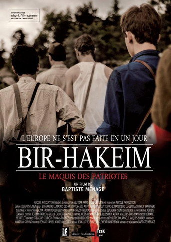 Movie poster for Bir-Hakeim, le maquis des patriotes (2012)