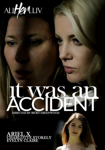 Movie poster for It Was An Accident (2022)