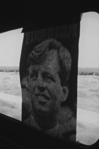Movie poster for Campaign 1968