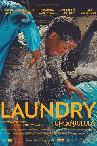 Movie poster for Laundry (2025)