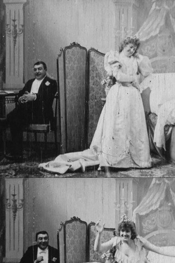 Movie poster for Bedtime for the Bride (1896)