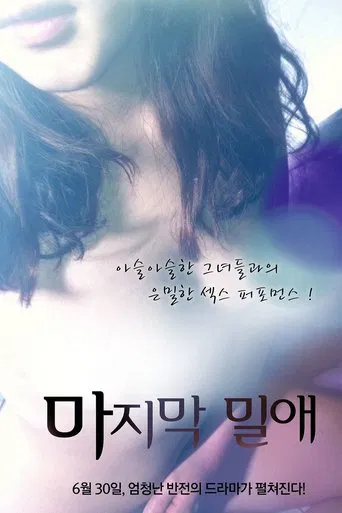 Movie poster for The Last Liaison (2011)