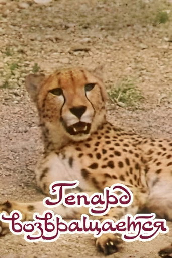 Movie poster for The Cheetah Comes Back (1985)