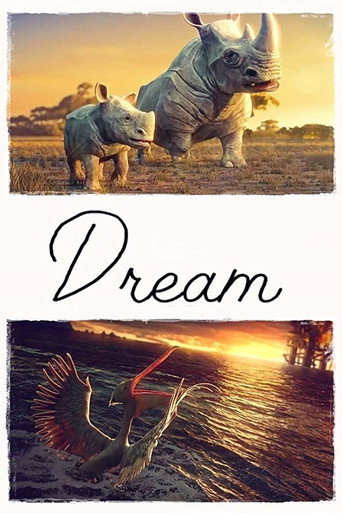 Movie poster for Dream (2016)