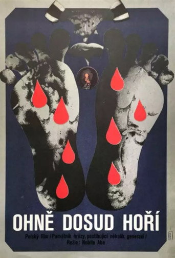 Ognie są jeszcze żywe poster