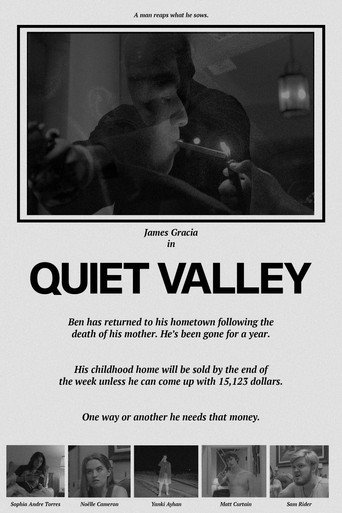 Movie poster for Quiet Valley (2022)