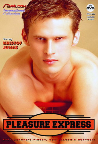 Movie poster for Pleasure Express (1994)