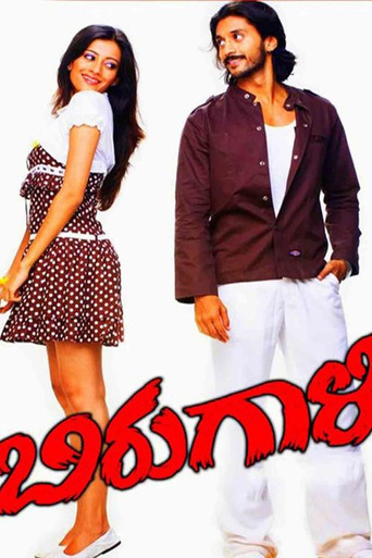 Movie poster for Birugaali (2009)