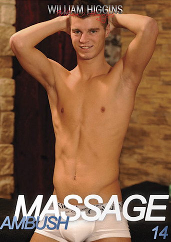 Movie poster for Ambush Massage 14 (2013)