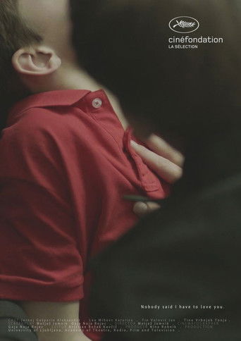 Nobody Said I Have to Love You poster