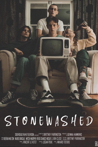Movie poster for Stonewashed (2018)