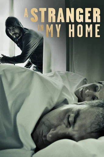 Series poster for A Stranger in My Home (2013)