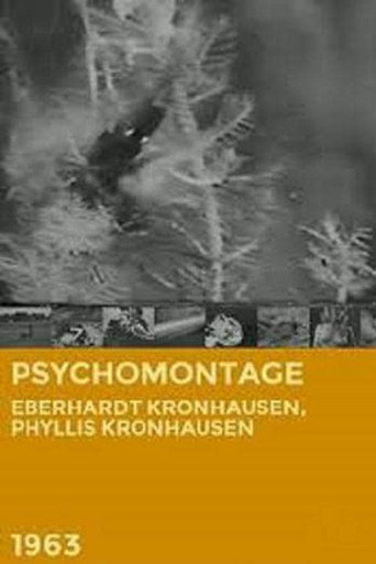 Movie poster for Psychomontage (1963)
