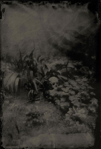 Boogie & Demons poster