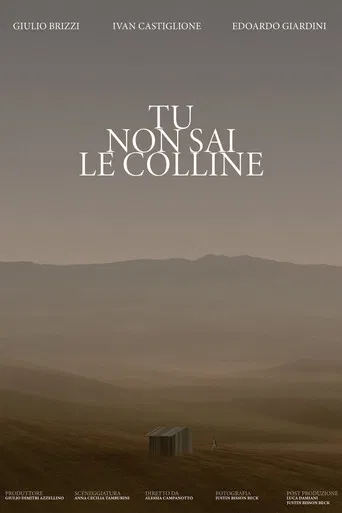 Tu non sai le colline poster
