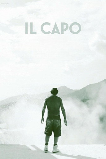 Movie poster for The Chief (2010)