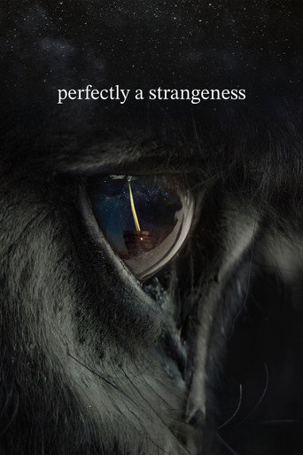 Movie poster for perfectly a strangeness (2024)