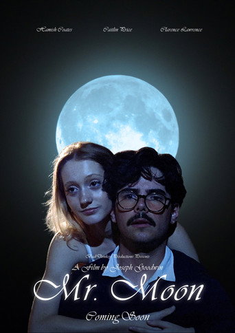 Movie poster for Mr. Moon (2025)