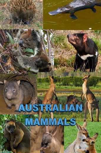 Movie poster for Australian Mammals (2021)