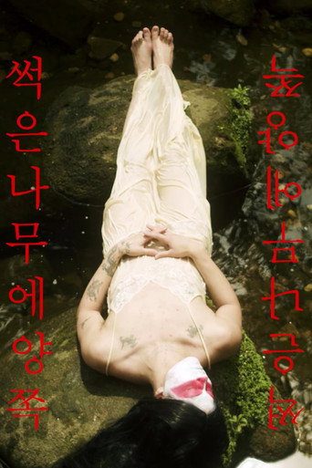 Movie poster for Two Sides of the Rotted Wood