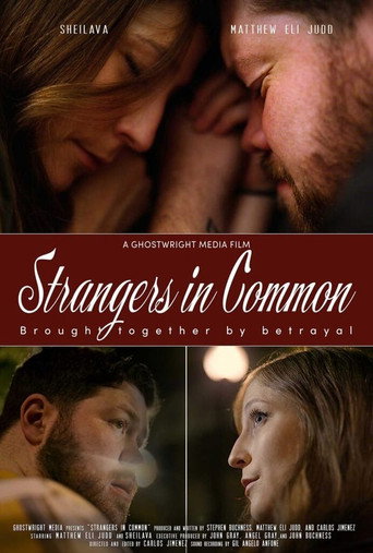 Movie poster for Strangers in Common