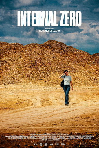 Internal Zero poster