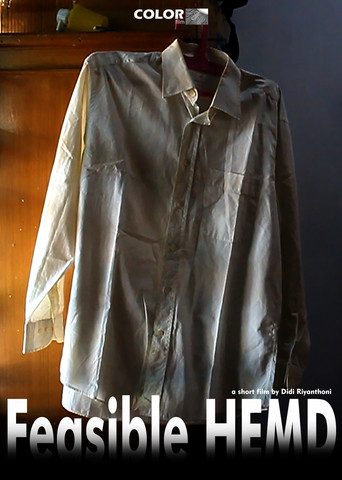 Movie poster for Feasible HEMD