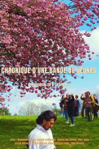 Movie poster for Chronique d'une bande de jeunes (un journal en 6 chapitres)