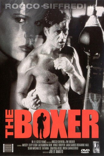 The Boxer poster
