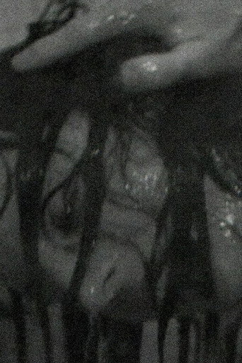 Movie poster for Washing Machine (2007)
