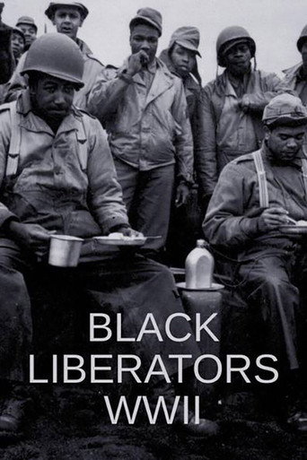 Movie poster for Black Liberators WWII (2021)