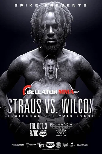 Movie poster for Bellator 127 (2014)