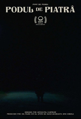 Movie poster for The Stone Bridge (2021)