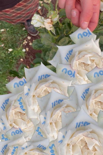 Cod Liver Oil and Milk poster