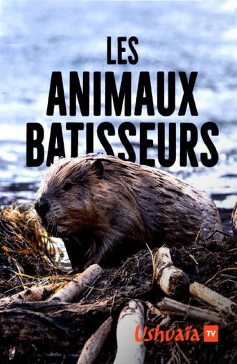 Les Animaux bâtisseurs poster
