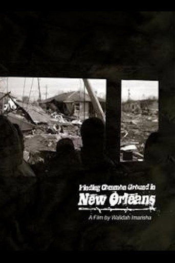 Movie poster for Finding Common Ground in New Orleans