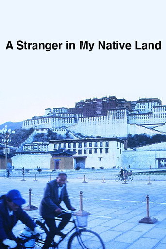 A Stranger in My Native Land poster