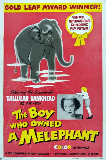 Movie poster for The Boy Who Owned a Melephant (1959)
