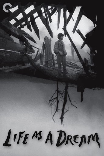 Life as a Dream poster