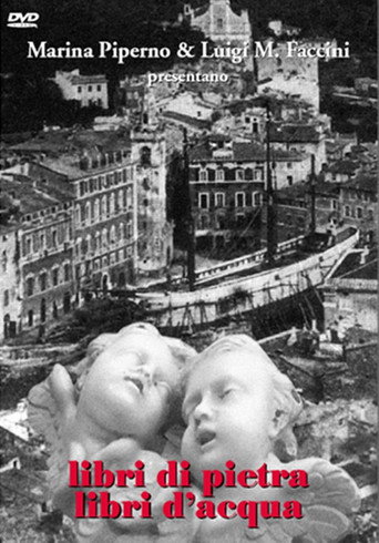 Movie poster for Libri di pietra libri d'acqua (2009)