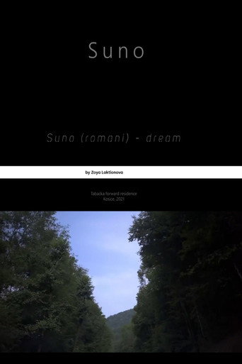 Movie poster for Suno (2022)