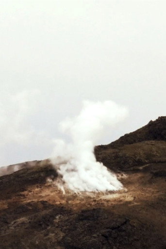 Into Earth’s Vibration poster