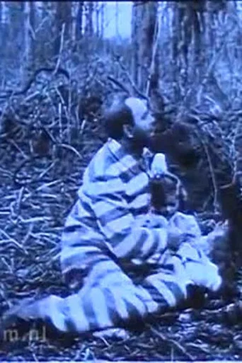 Movie poster for In Northern Forests (1911)