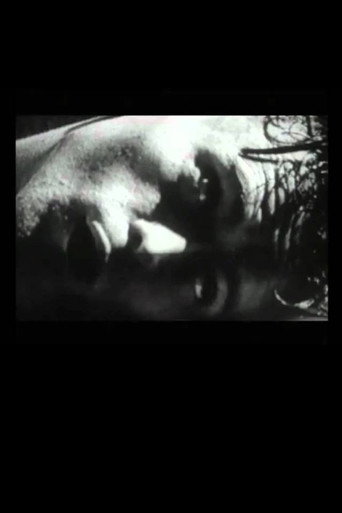 Movie poster for The Hunger Artist (1995)