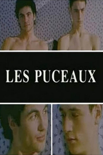 Movie poster for The Virgins (1997)