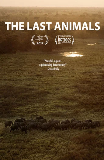Movie poster for The Last Animals (2017)