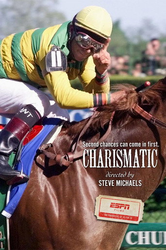 Movie poster for Charismatic (2011)