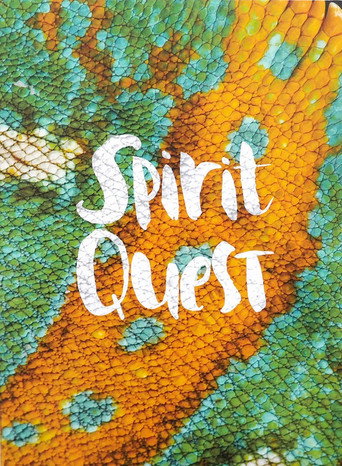 Movie poster for Spirit Quest (2016)