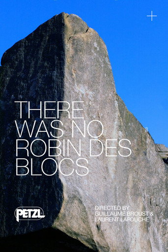 Movie poster for There Was No Robin des Blocs (2011)