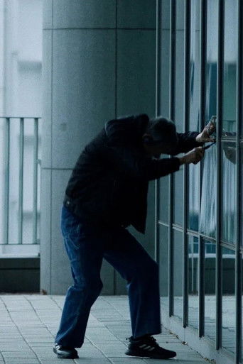 The Wayward Bird poster